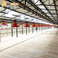 Poultry Farming Broiler Chicken Automatic Raising Equipment