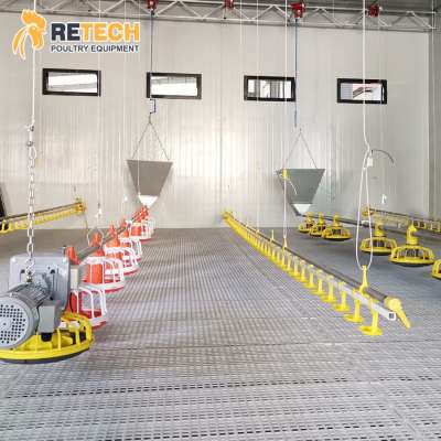 Poultry Farm Automatic Feeding Equipment for floor raising system