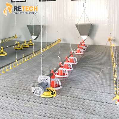 Poultry Farm Equipment Closed Chicken Shed Broiler Floor Raising System