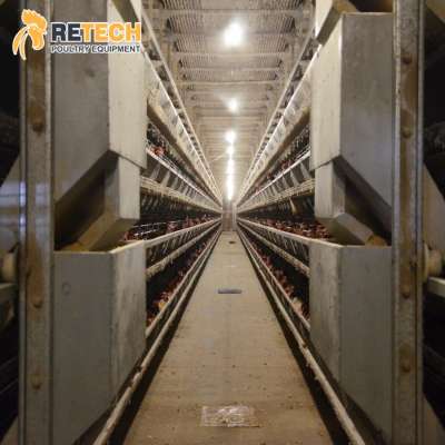 Factory Price Automatic H Type Battery Layer Egg Chicken Cages