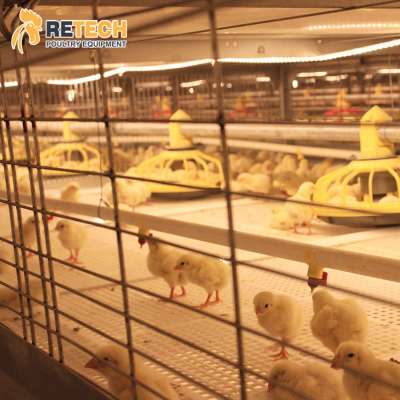 Broiler Equipment New Design High Tech Automatic Poultry Farming Broiler Chicken Cages