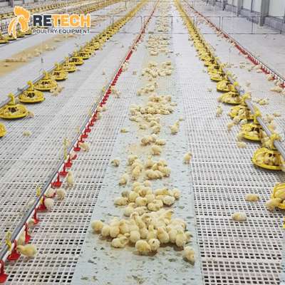 Qingdao Manufacturer Supplies Automatic Bird Chicken Poultry Fram Equipment