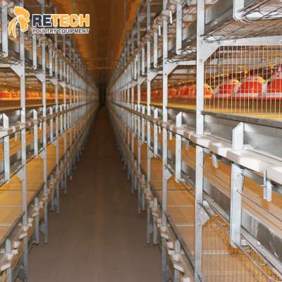 Automatic Battery Broiler Chicken Cage System for commercial poultry farming factory