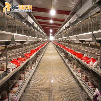 Chicken Farm 4 Tiers H Type Automatic Baby Chick Rearing Pullet Cage System