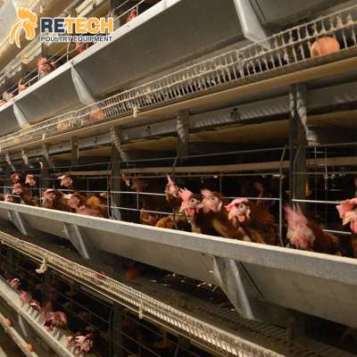 Chicken Egg Farm Equipment Layer Battery Cages Laying Hens Poultry Cage