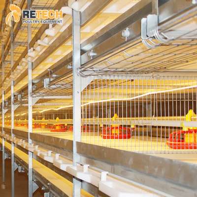 3 Tiers 4 Tiers H Type Modern Design Poultry Farm Shed Automatic Chicken Broilers Cage System