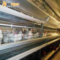 Hot Sale H Frame Automatic Chicken Breeder Cage for broiler layer poultry farm