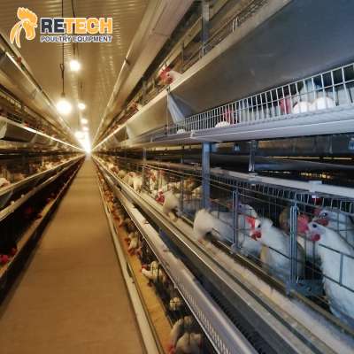 Hot Dipped Galvanized 3 Tiers H Type Egg Hen Breeder Cage for Sale