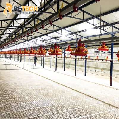 Complete Set Modern Automatic Broiler Chicken Poultry Farm Equipments