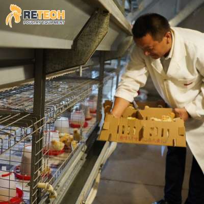 H Type Galvanized 4 Tiers Layer Battery Chick Cages System