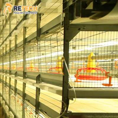 Poultry Farming Equipment Automatic H Type Battery System Broiler Chicken Cages for sale