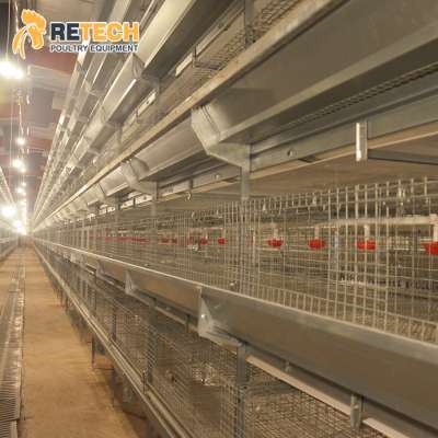 Galvanized Durable Automatic H Type Growing Day Old Layer Pullet Chick Cage