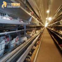 Good Price Poultry Farm Automatic System H Type Battery Breeder Chicken Broiler Cage for sale