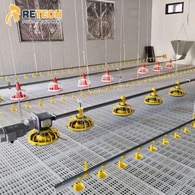 Broiler Floor Raising Equipment Suppliers Automatic Chicken Feeding System