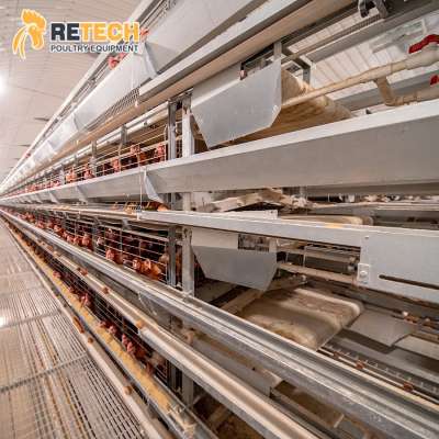 Poultry Egg Chicken Farm Equipment Automatic Battery System Chicken Cages for Laying Hens