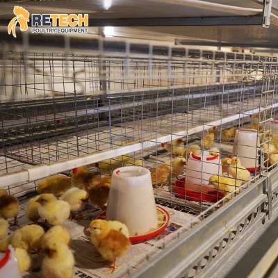 Hot Dipped Galvanized A Type 3 Tiers Automatic Layer Chicken Pullet Cage