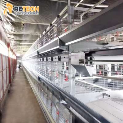 Chicken Farming High Quality H Type Battery Breeder Cages