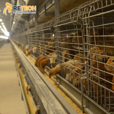 Hot Dip Galvanized Automatic H Type  Chicken Farm Day Old Chick Battery Cages for Layers