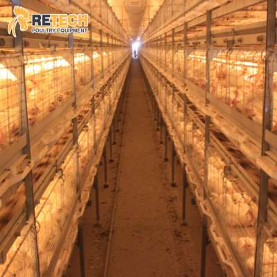 Fully Automatic  Broiler Poultry Farm Equipment H Type Battery Broiler Chicken Cages System