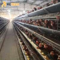 Automatic Equipment A Type Poultry Farming Egg Laying Hen Battery Layer Chicken Cage