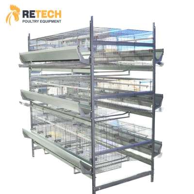 H Type Automatic Chicken Breeder Cage for broiler layer poultry farm