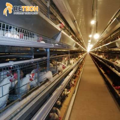 Modern Design Broiler Farm Shed Automatic H Type 3 Tiers Chicken Poultry Breeder Cage