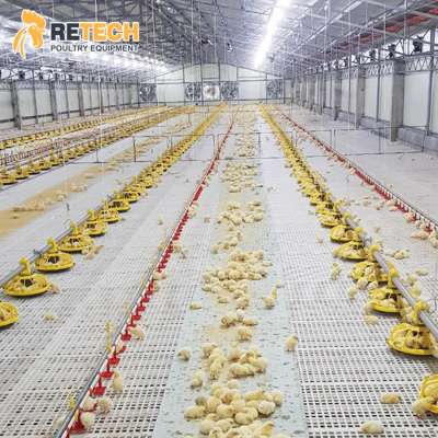 Full Automatic Modern Poultry Farming Design Chicken Broiler Pan Feeding System Equipment