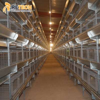 High Quality H Type Automatic Poultry Equipment Battery Chicken Brooder Pullet Cage