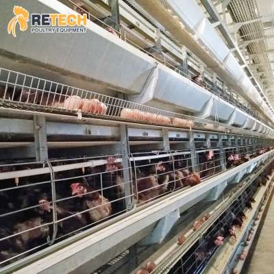 Galvanized Modern Battery Design System Poultry Farming Layer Chicken Cages