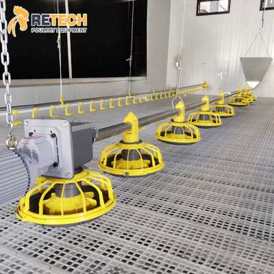 China TIANRUI Manufacturer Poultry Farming Automatic Broiler Chicken Equipment