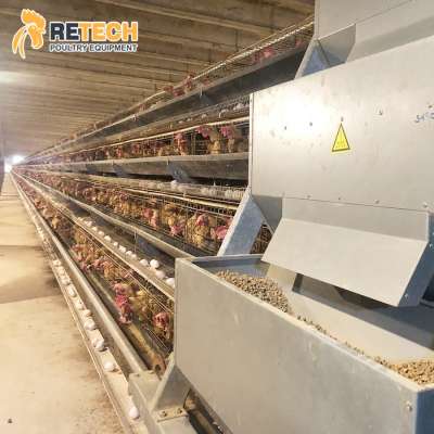 Factory Price Poultry Farming Automatic System A Type Battery Layer Egg Chicken Cages