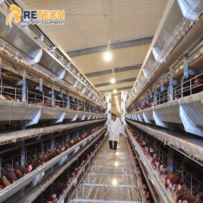 Factory Poultry Chicken Farming Equipment Supplier Automatic Battery Egg Layer Laying Hens Cages for sale