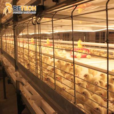 Complete Automatic Broiler Chicken House Manufacturer H Types Poultry Cage for Sale