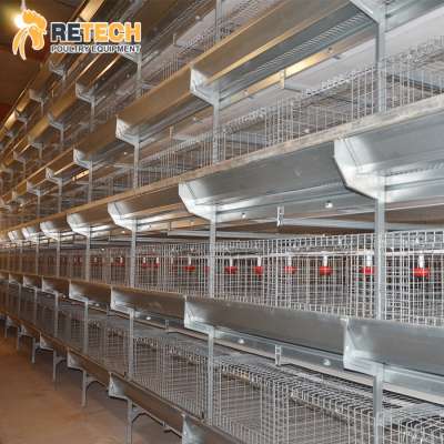 Good Price H Type Automatic Chicken Layer Poultry Farm Equipment Day Old Chick Cage