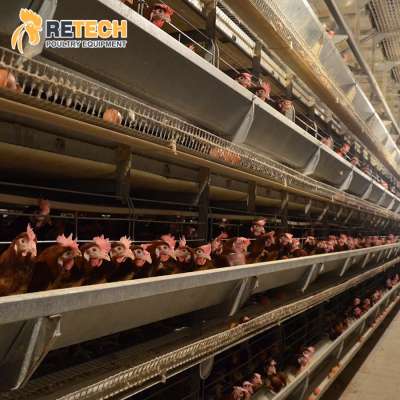 Modern Design H Type Automatic Egg Poultry Farms Battery Layer Chicken Cages